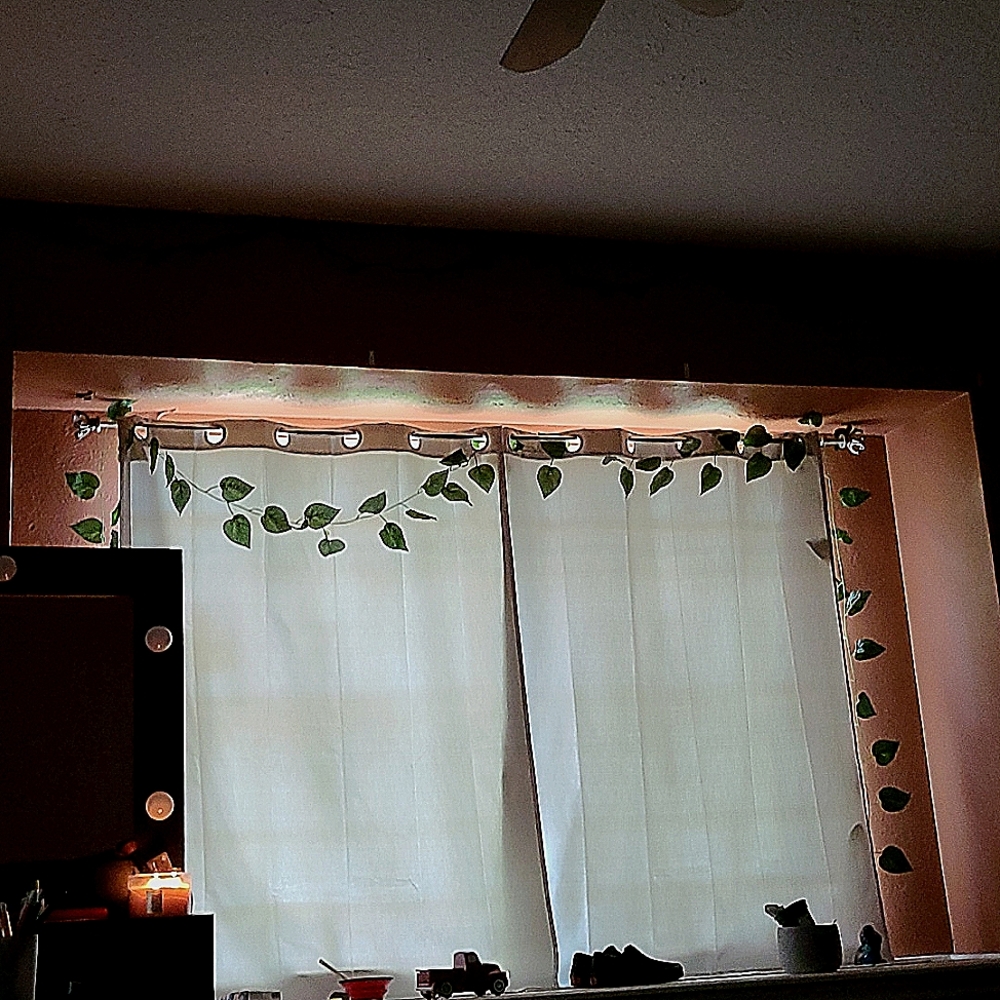 Cute asthetic vines